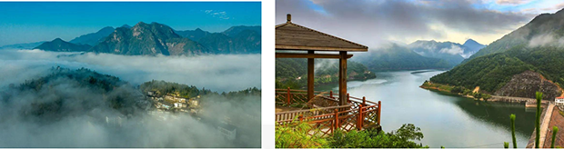 image019.png image019.png