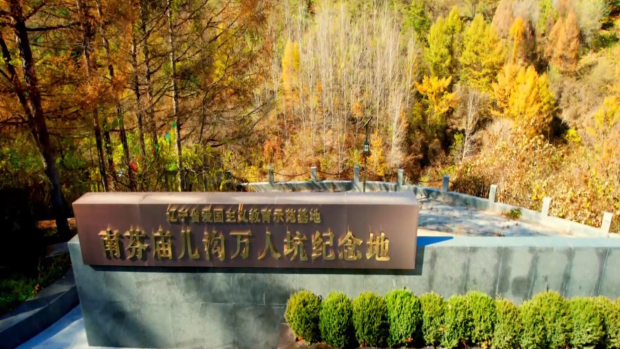 image007.jpg image007.jpg